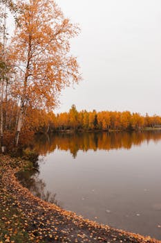 Calm lake reflecting autumn foliage in Alaska, capturing the serene beauty of fall colors and tranquil waters.